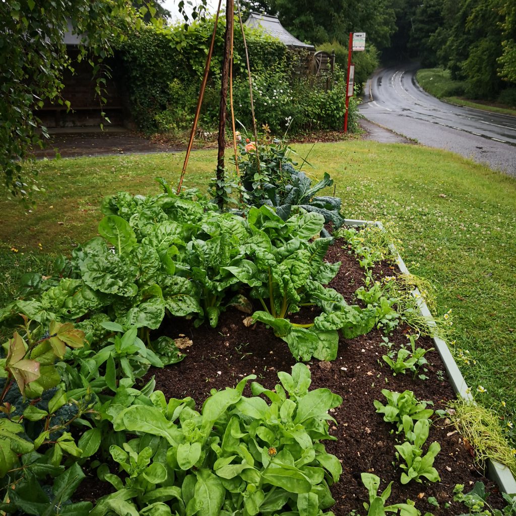 using-mulch-as-a-soil-improver-apsley-farms-mulch